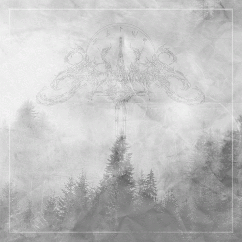 Seltar : Entre las Arrugas de las Piedras